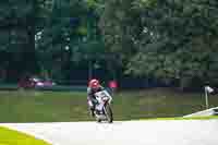 White Bikes